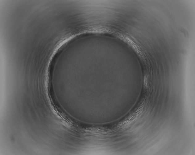 X0000111420724200907131201