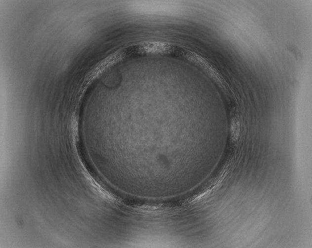 X0000111420725200907131201