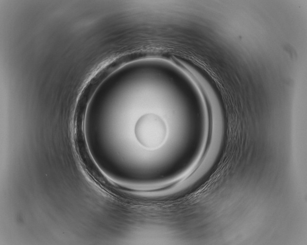 X0000111420726200907131201