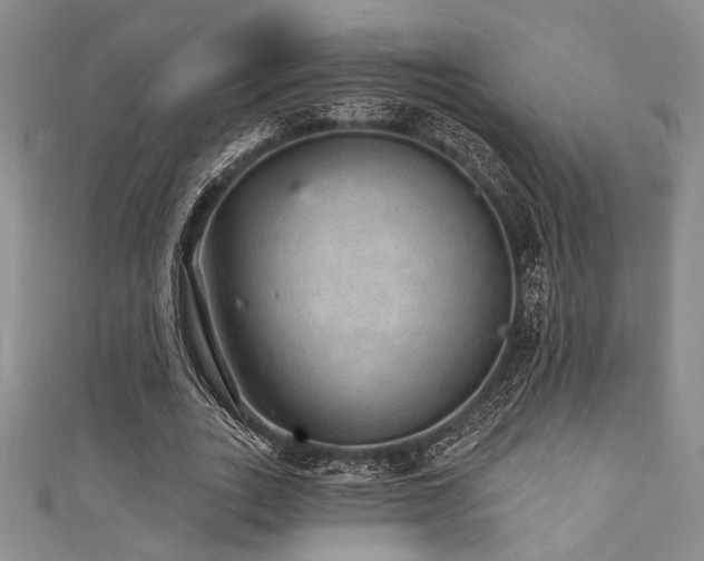 X0000111420727200907131201