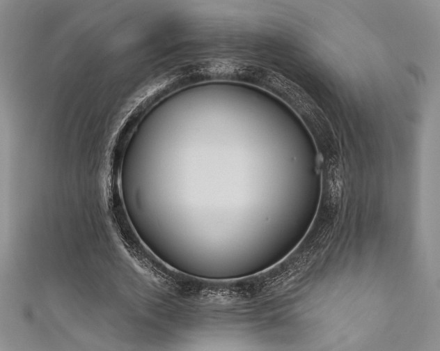 X0000111420728200907131201