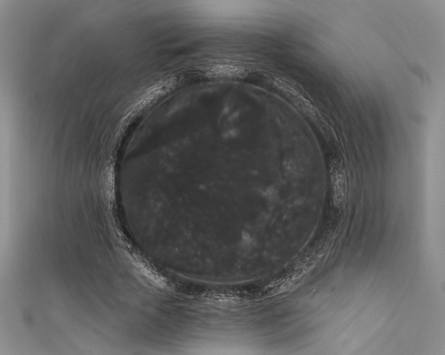 X0000111420729200907131201