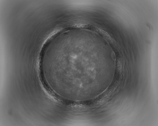 X0000111420730200907131201