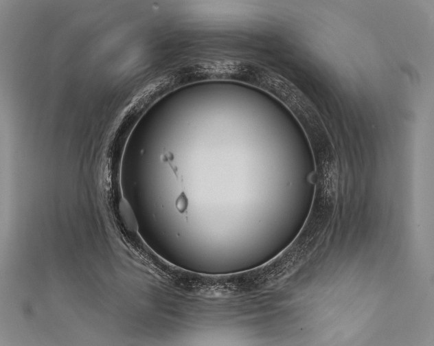 X0000111420731200907131201