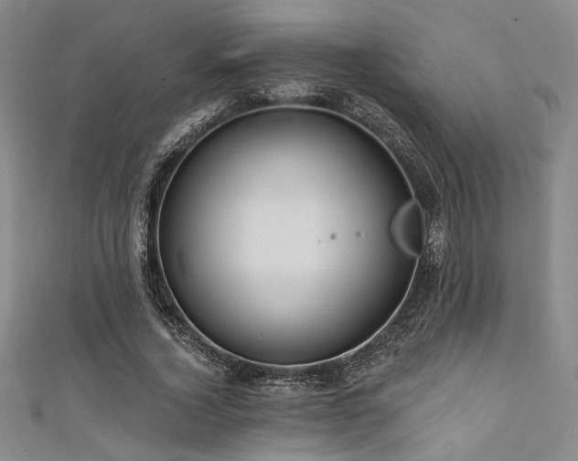 X0000111420732200907131201