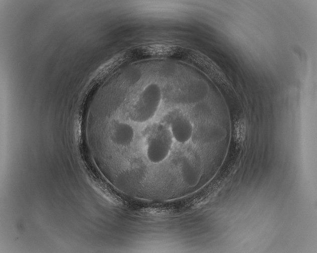 X0000111420733200907131201