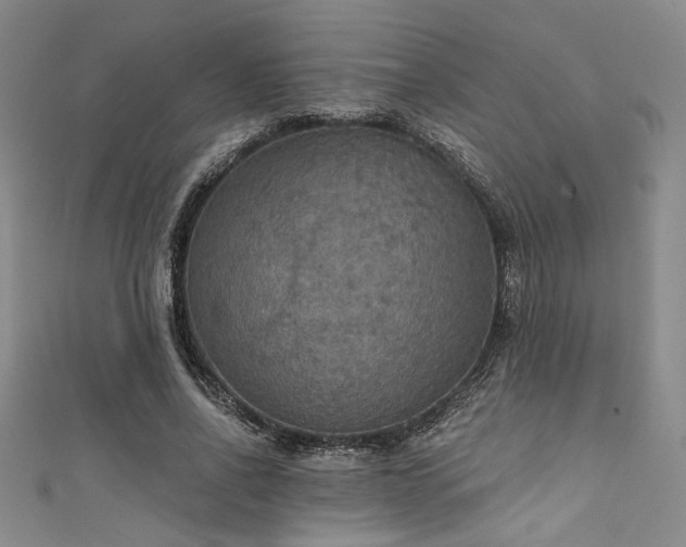 X0000111420734200907131201