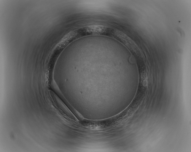 X0000111420735200907131201