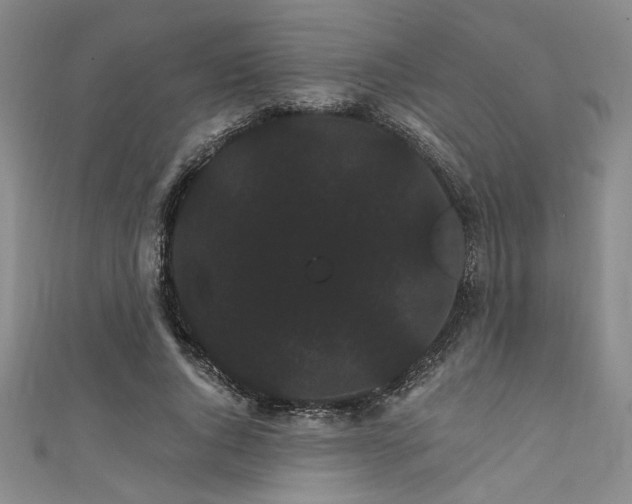 X0000111420736200907131202