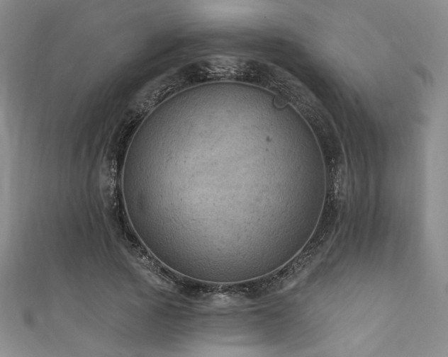 X0000111420737200907131202