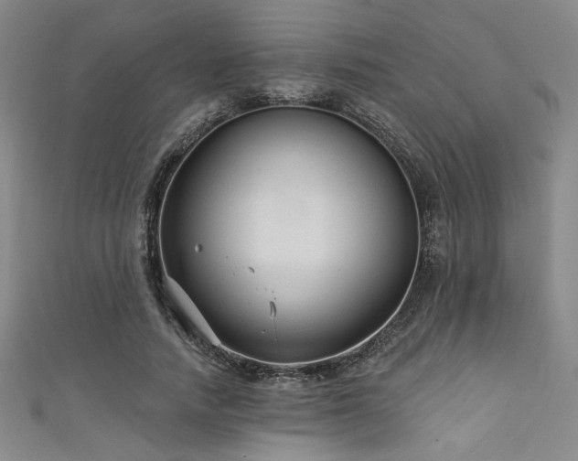 X0000111420738200907131202