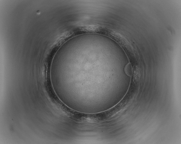 X0000111420739200907131202