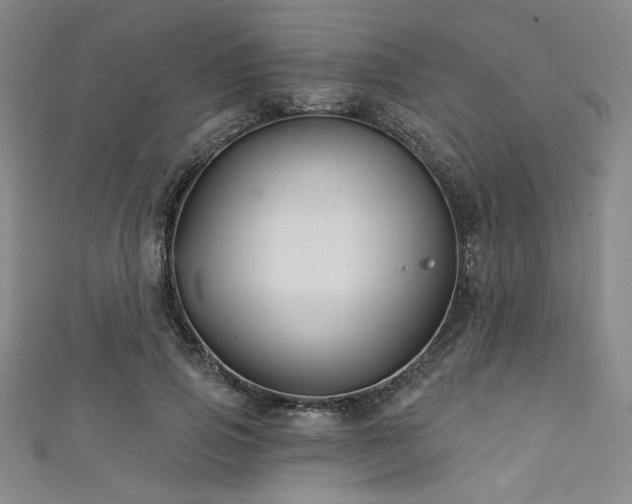 X0000111420741200907131202