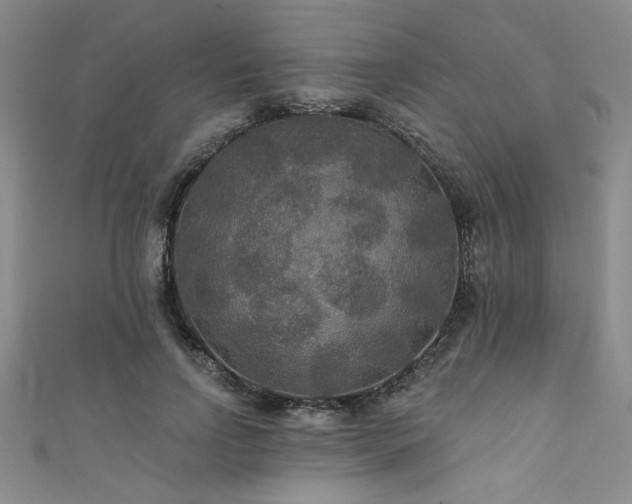 X0000111420742200907131202