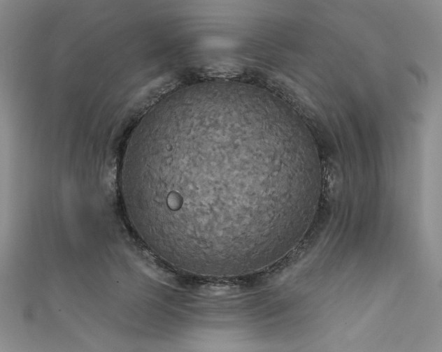 X0000111420745200907131202