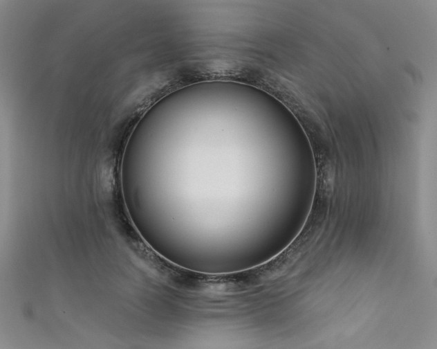 X0000111420746200907131202