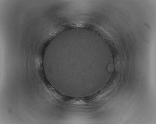 X0000111420747200907131202