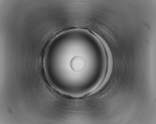 X0000111420748200907131202