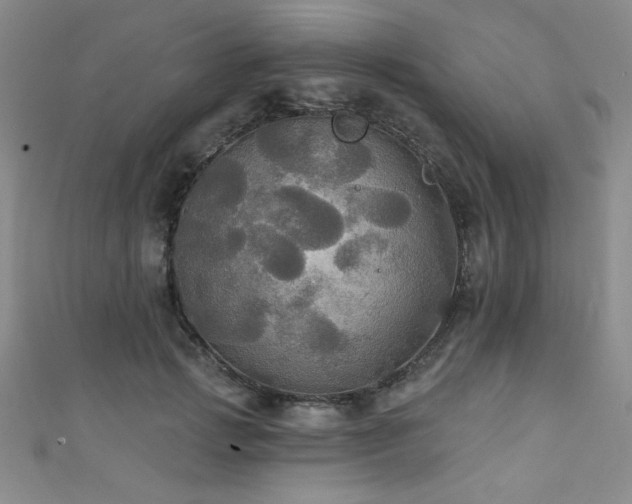 X0000111420749200907131202