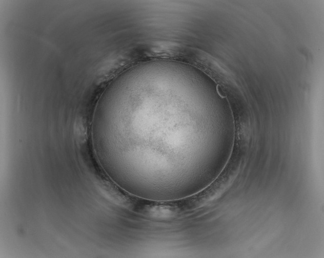 X0000111420751200907131202