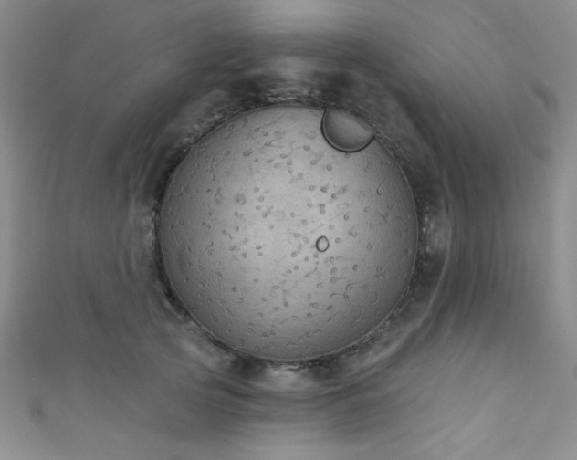 X0000111420753200907131202