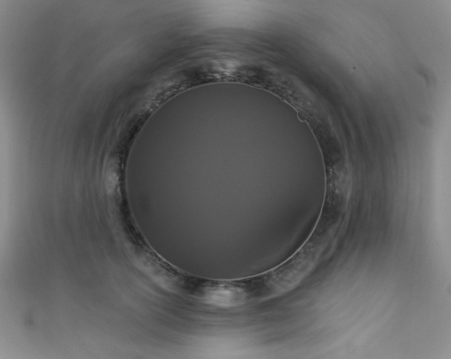 X0000111420754200907131202