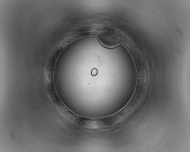 X0000111420755200907131202