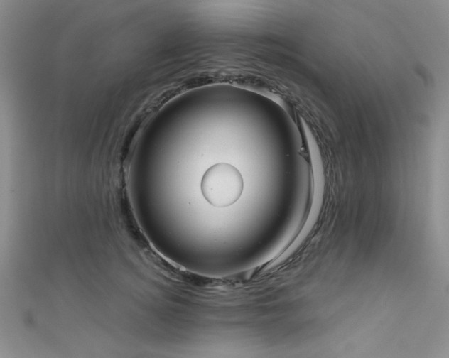 X0000111420756200907131202