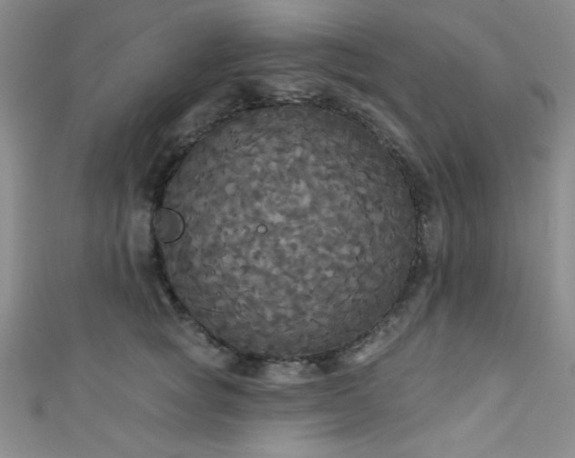 X0000111420757200907131202