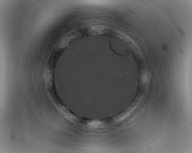 X0000111420759200907131202