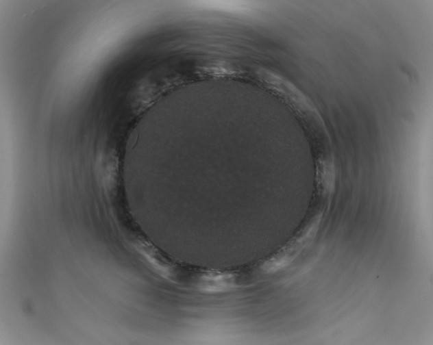 X0000111420760200907131202