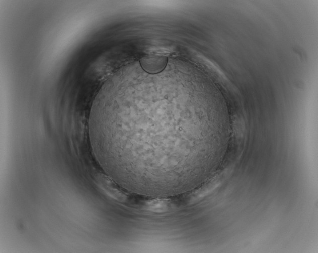 X0000111420761200907131202