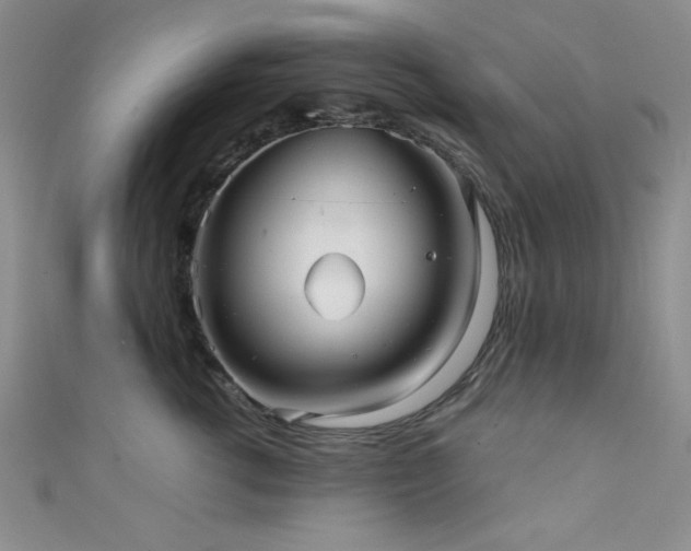 X0000111420762200907131202