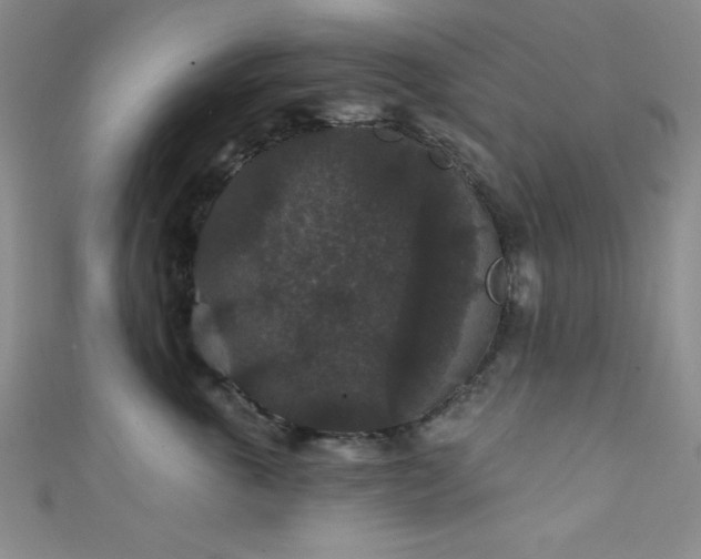 X0000111420763200907131202