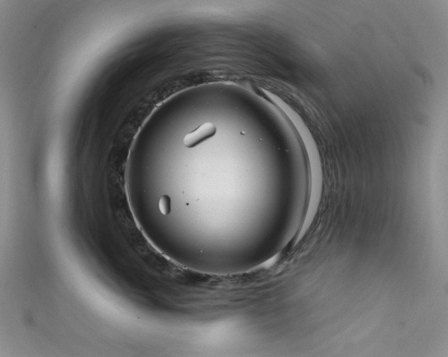 X0000111420764200907131202