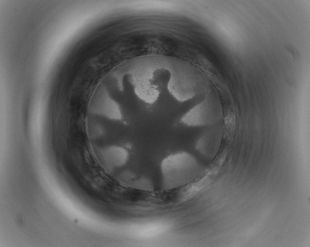 X0000111420765200907131202