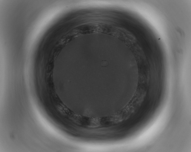 X0000111420766200907131202