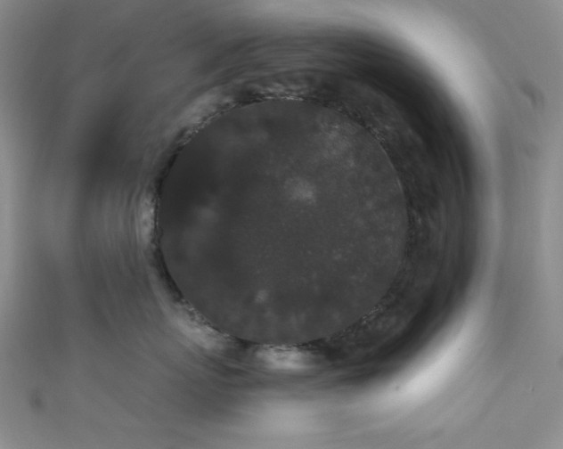 X0000111420767200907131202