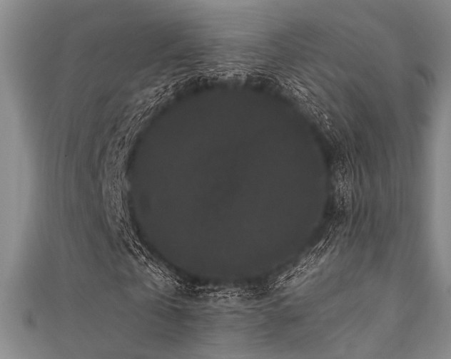 X0000111420769200907131201