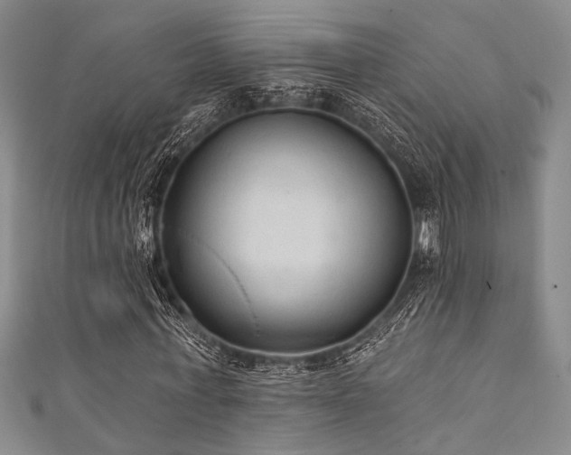 X0000111420771200907131201