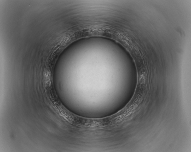 X0000111420772200907131201