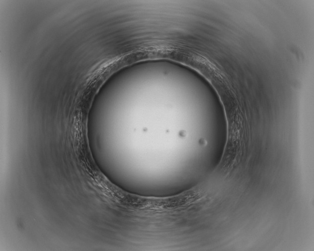 X0000111420773200907131201