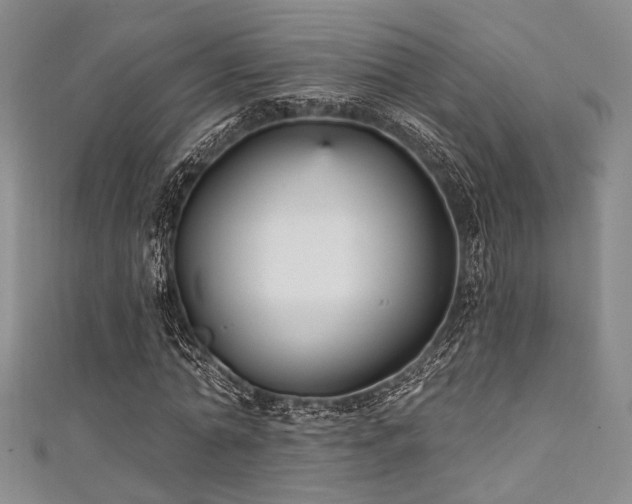 X0000111420774200907131201