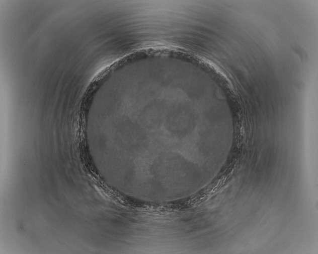 X0000111420775200907131201