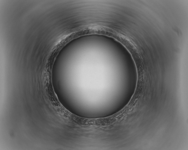 X0000111420776200907131201