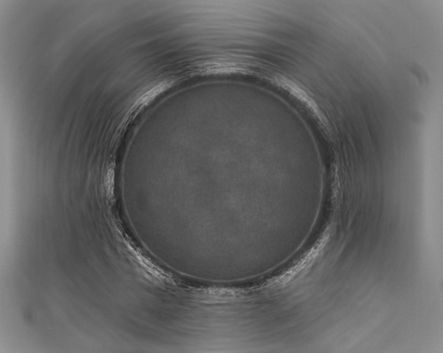 X0000111420777200907131201