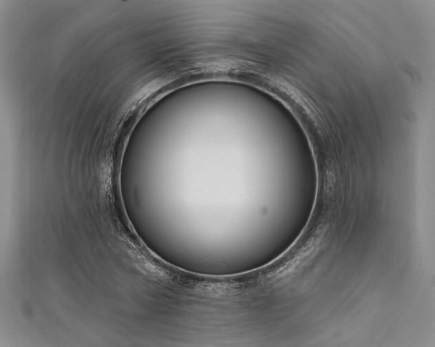 X0000111420778200907131201