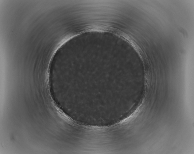 X0000111420779200907131201