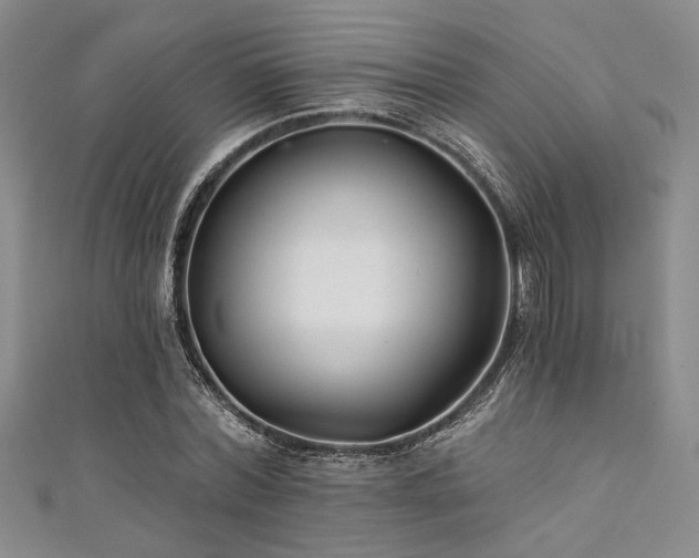 X0000111420780200907131201