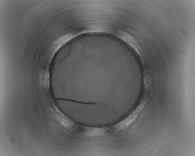 X0000111420781200907131201